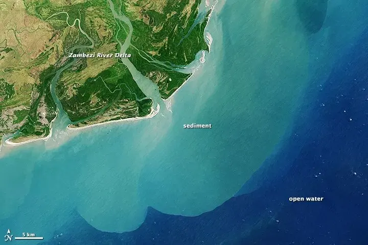 Mozambique's Zambezi Delta wins global award for wildlife comeback