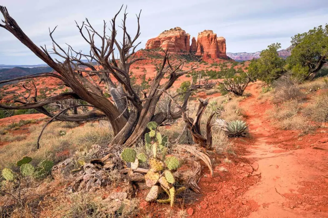 Sedona, Arizona: Red Rocks, Swimming Holes and the Best Ways to Spend Three Days