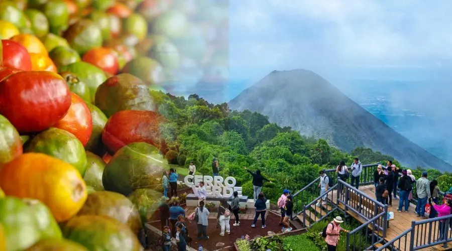 Jocote Corona Fair 2026: El Salvador's Fruit Festival Returns to Cerro Verde