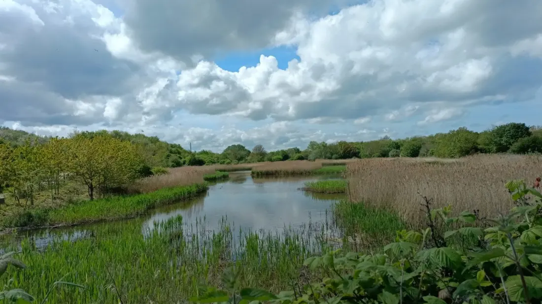 Port Sunlight River Park: A Former Landfill on the Mersey That's Now One of Wirral's Best Free Days Out
