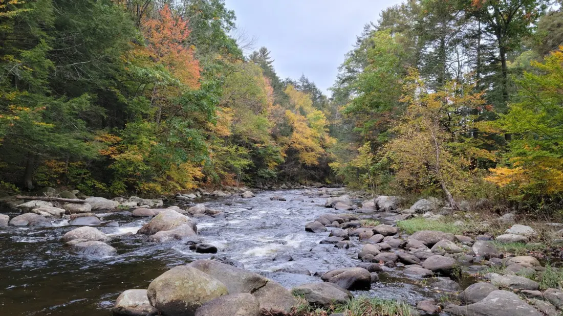 Sandisfield State Forest: A Quiet Berkshires Escape Between Hartford and Albany