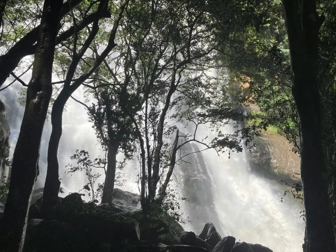 Hogsback in spring: waterfalls, forest trails and open gardens in the Amathole Mountains