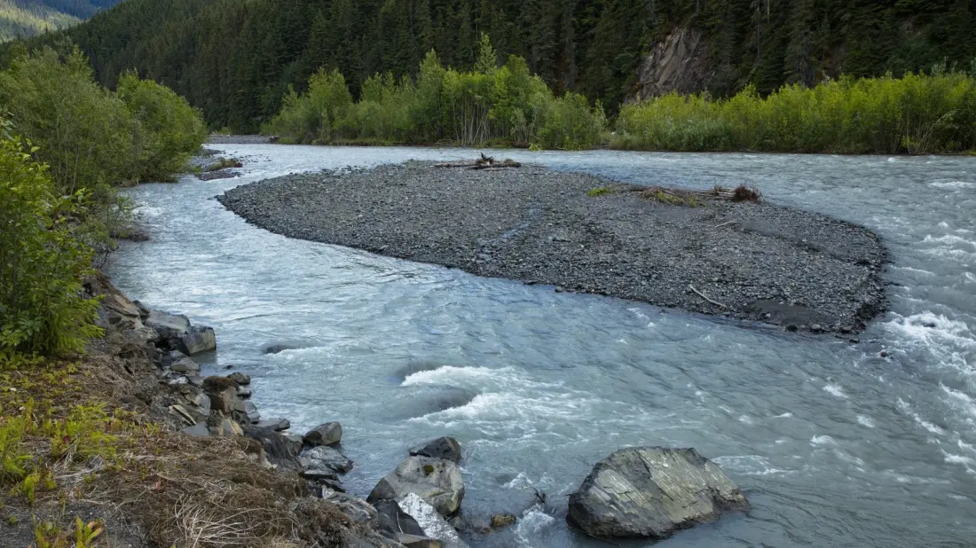 Ningunsaw Provincial Park: Northwest BC's Quiet Wilderness With No Trails, No Facilities and Almost No Crowds
