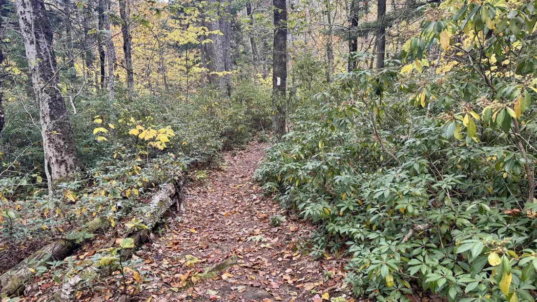 A 31-Mile Day on the Appalachian Trail in Massachusetts: Cobble Hill, Cookie Ladies and a Shaker Campsite