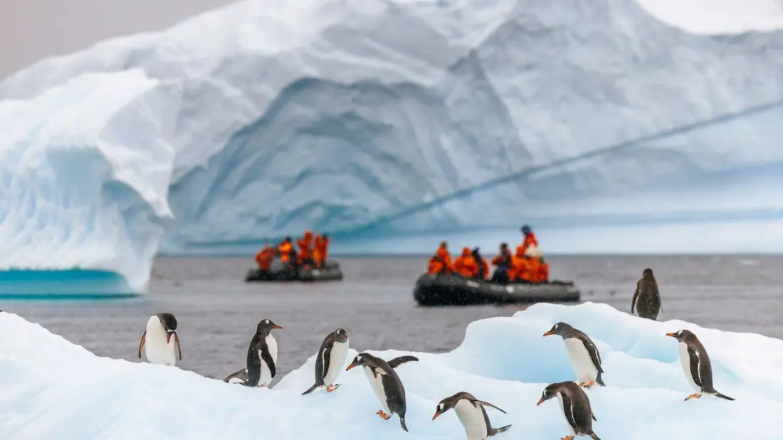 Antarctica: the coldest place on Earth – and yes, you can actually visit