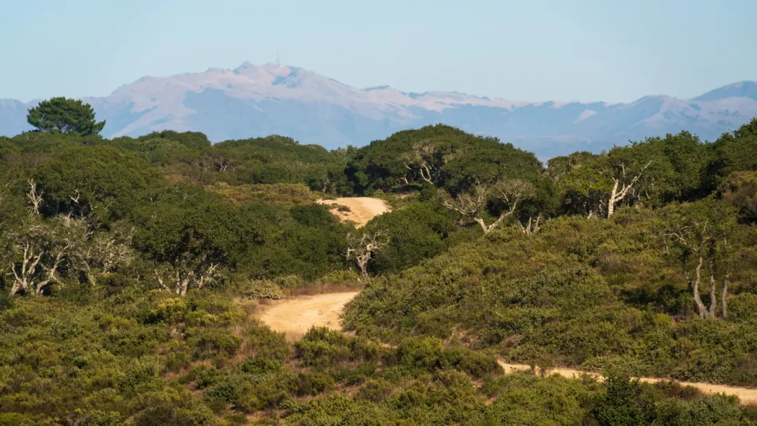 Fort Ord: The Former Army Base Near Monterey That's Now 14,000 Acres of Trails