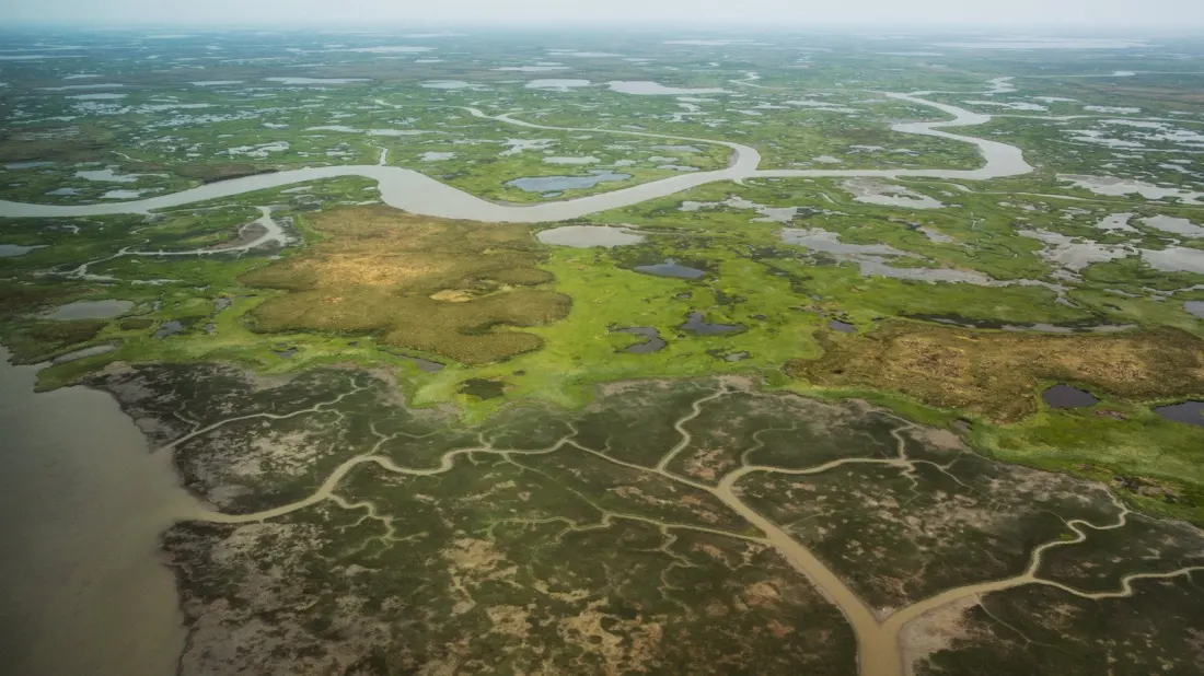 Alaska Has More Wetlands Than Every Other US State Combined