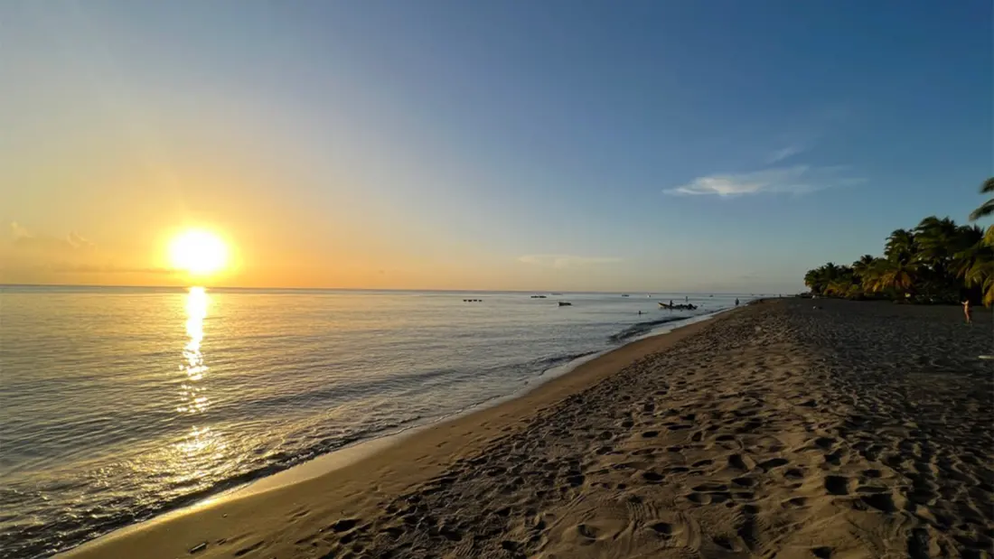 Plage du Coin: Martinique's Black-Sand Beach With a Rum Bar Worth Planning Your Day Around