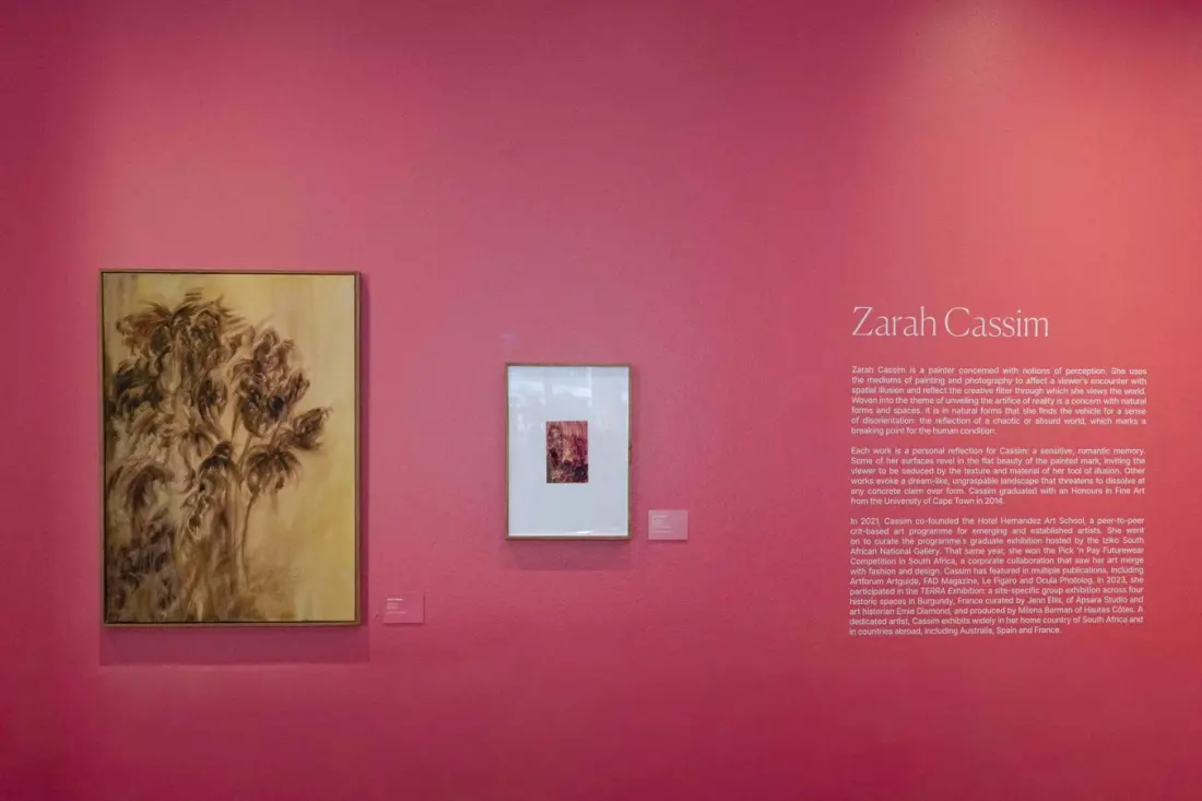 Cape Town's President Hotel turns its corridors into a gallery for artist Zarah Cassim