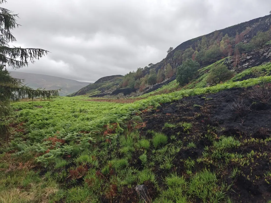 Storm, Peat and a Pint: Day Two on the Pennine Way