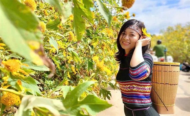 Gongs and golden blooms: Gia Lai's volcano festival returns for late 2026