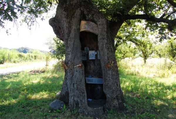Inside a 500-Year-Old Oak: Serbia's Tiny Tree Chapel in Čibukovac