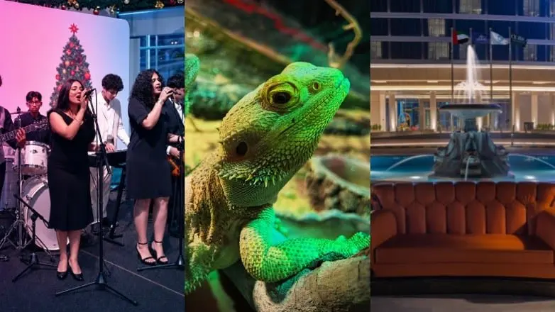 Abu Dhabi this week: dragon encounters, a Dhs100 power lunch and a teen film festival