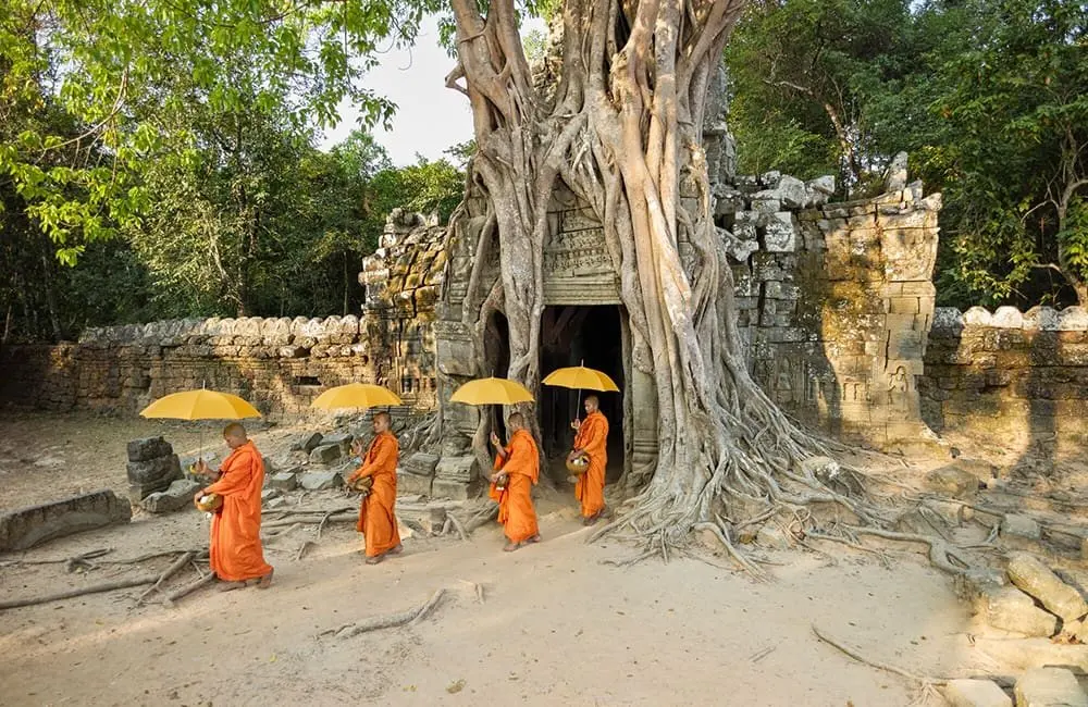 APT turns 100 with a 100-day round-the-world trip — and it starts at $100k