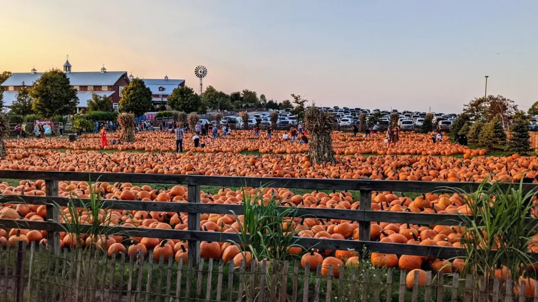 Six of the Midwest's Best Pumpkin Patches, Ranked By Reviewers