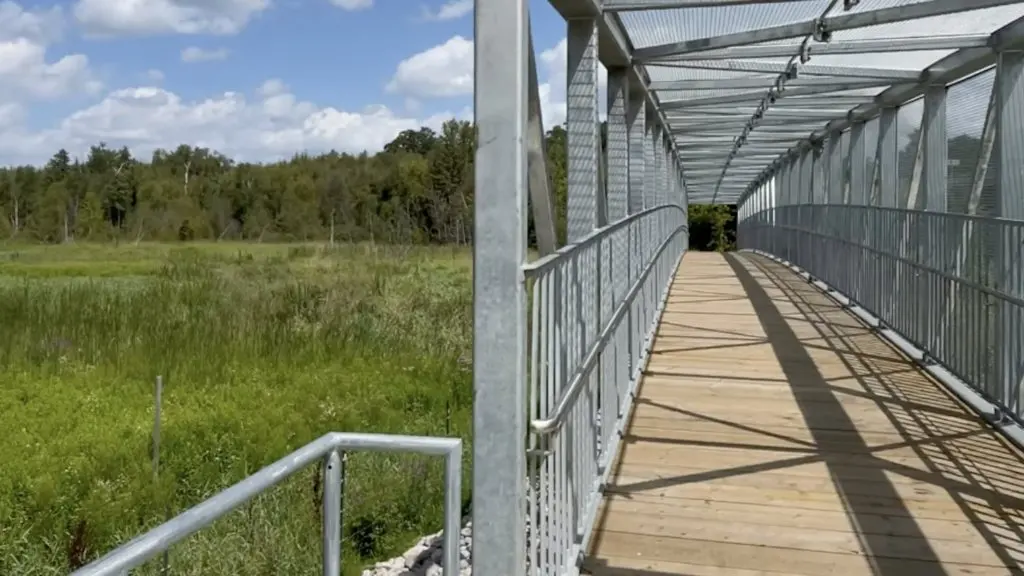 Ontario's 100-kilometre Credit Valley Trail is slowly stitching together, one Indigenous site and bridge at a time