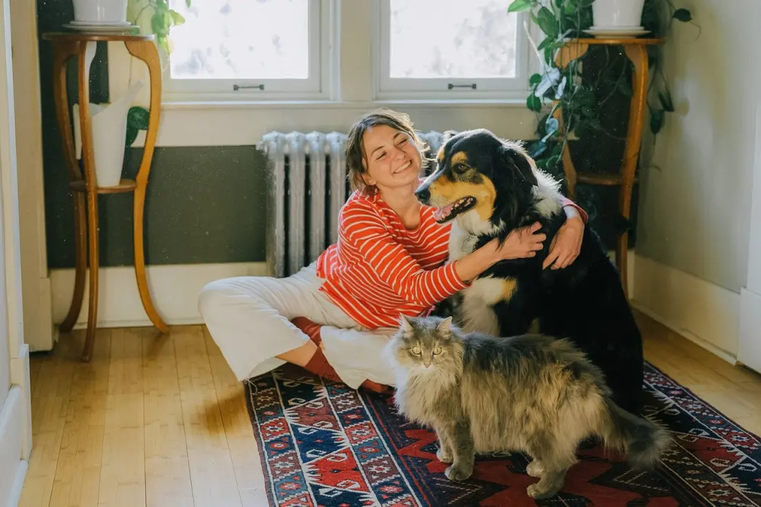 Chewy+, Petco Perks or PetSmart Treats? How the big pet loyalty programs actually compare