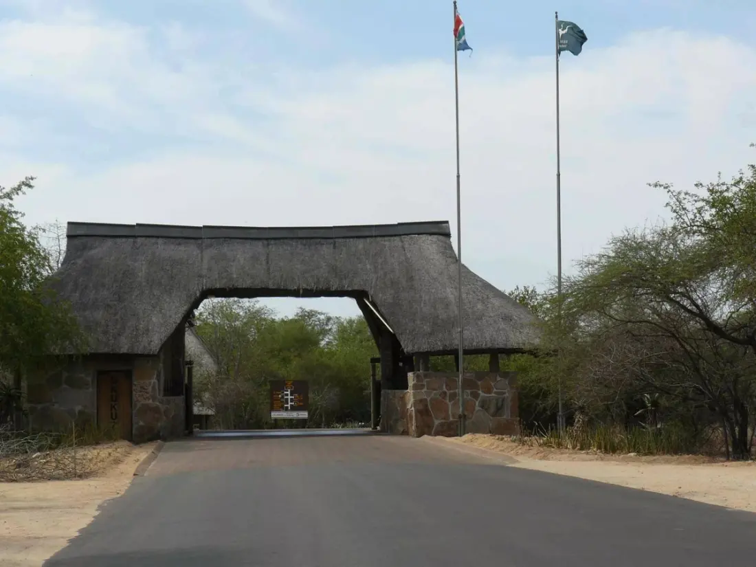 Skukuza's Main Gate Closes for Repairs This November — Kruger Visitors Should Plan Around It