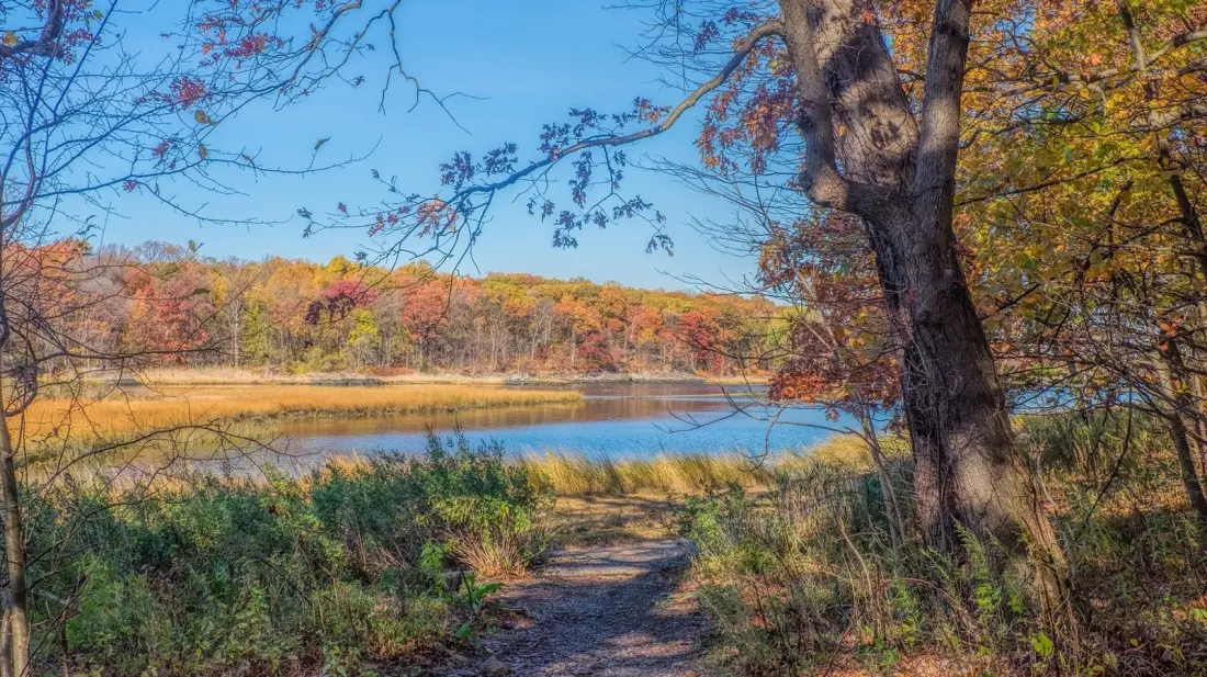 Pelham Bay Park: NYC's Biggest Green Space Is Three Times the Size of Central Park