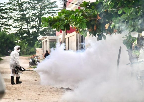 Dengue watch in the Dominican Republic: what the latest case numbers mean for your Punta Cana trip