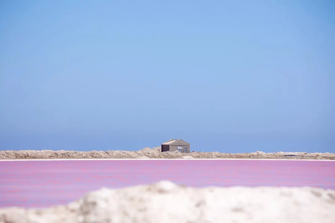Why South Africa's salt pans sometimes glow pink, orange and red