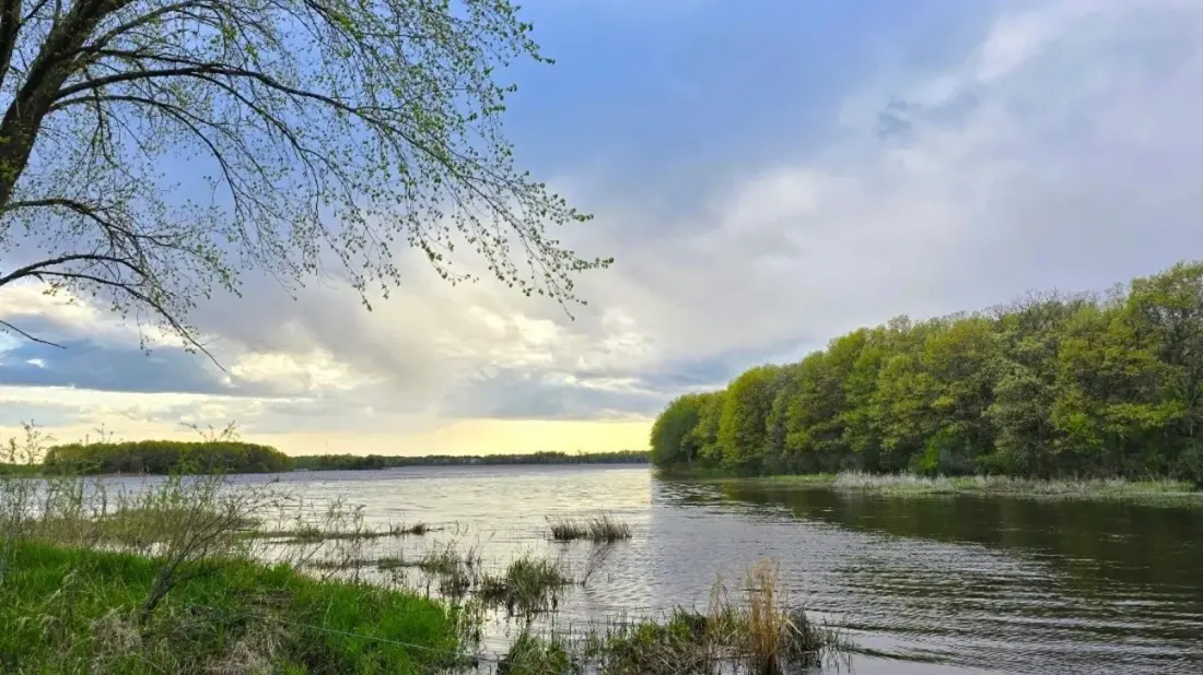 Carlos Avery WMA: 25,000 Acres of Wetlands and Wildlife Under an Hour From Minneapolis