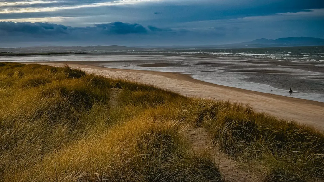 Aberlady: The Quiet East Lothian Village Where Medieval Ruins Meet a Bird-Rich Bay