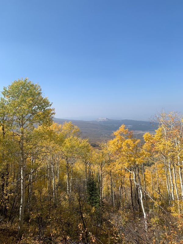 Grand Mesa: Colorado's Sky-High Tabletop With 300 Lakes