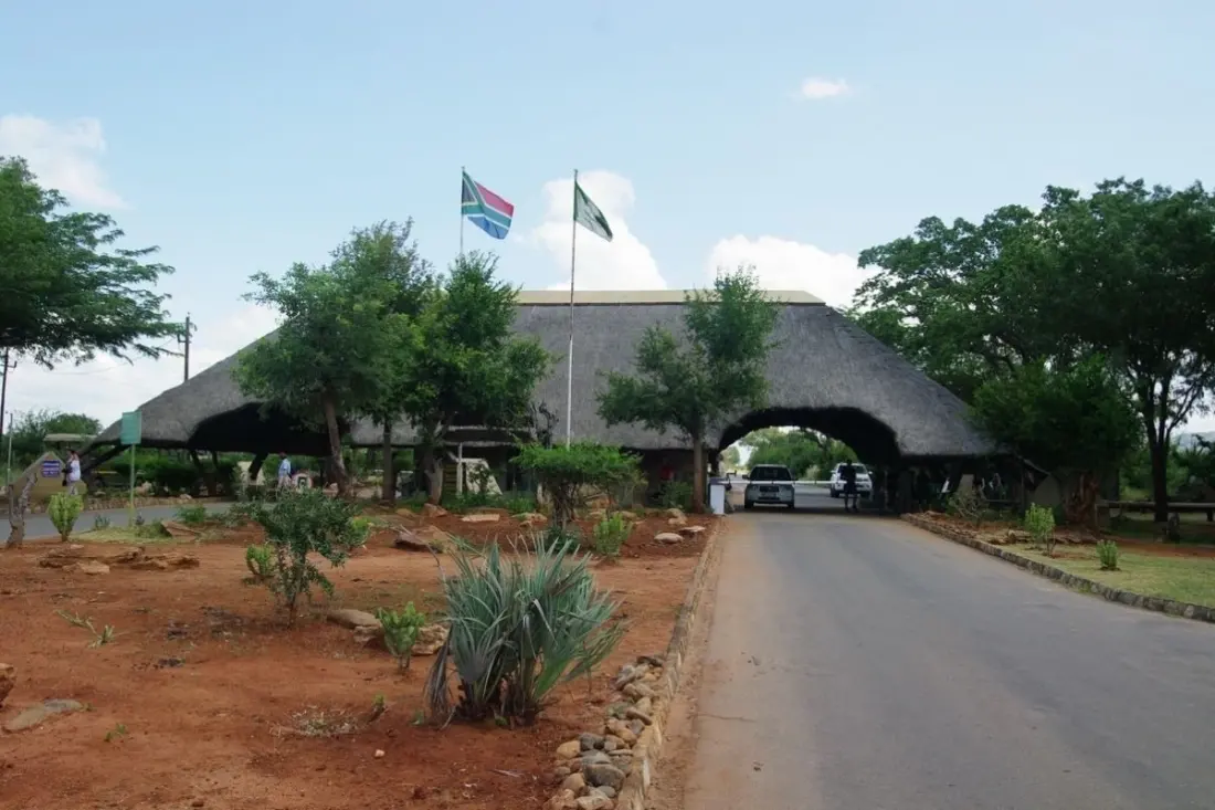Which Kruger gate should you use? A quick guide to getting to your camp faster