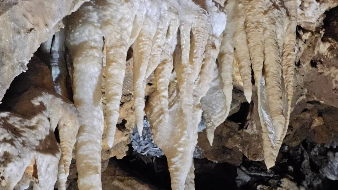 Black Chasm Cavern: The California Gold Country Cave Packed With Gravity-Defying Helictites
