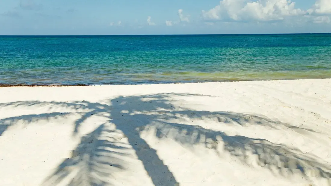 Hyatt's Adults-Only Secrets Macao Beach Punta Cana Sets April 2027 Opening
