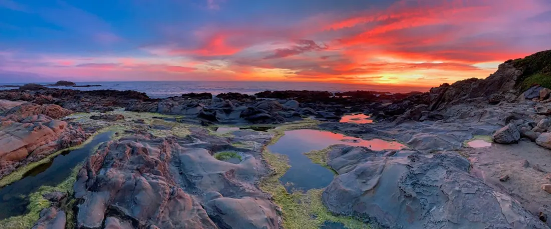 Bean Hollow State Beach: California's Honeycomb Rocks Without the Crowds