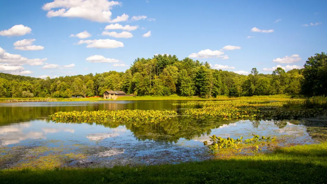 Kendall Lake: The Quiet Ohio Spot Where a Depression-Era Dam Became a National Park Favourite