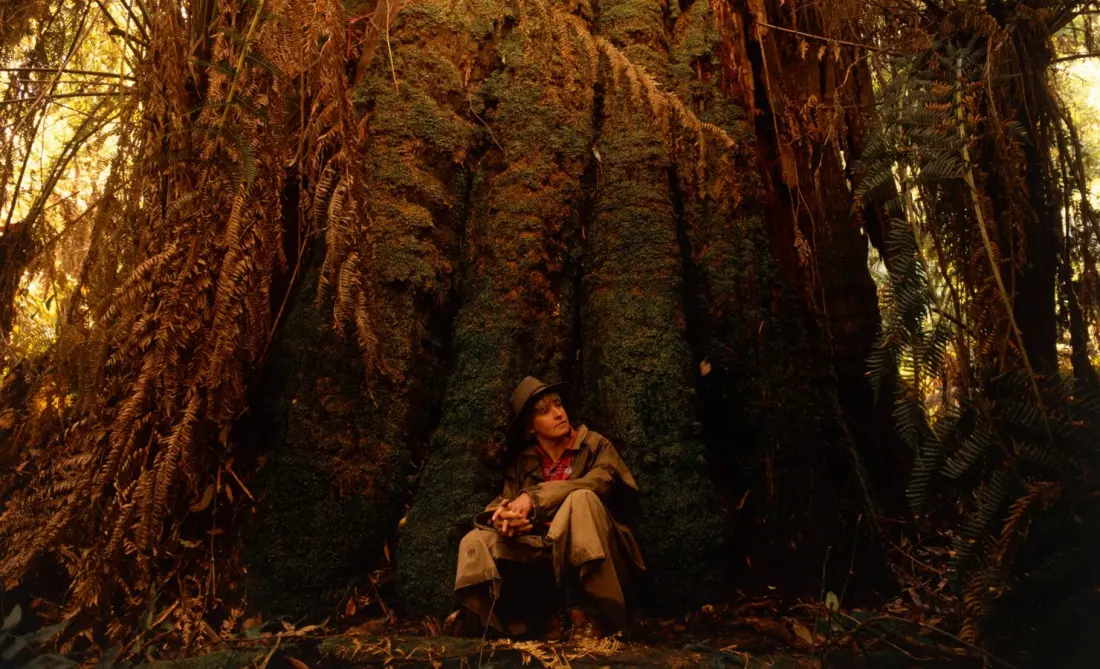 Australia's story trees: from a felled forest giant to Barcaldine's Tree of Knowledge