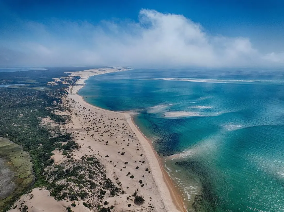 Ancient forests turned reefs: Mozambique's Bazaruto seabed has a 5,000-year-old secret