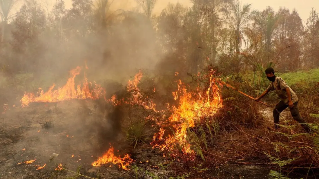 Indonesian fire haze hits Singapore and East Timor — what travellers to Southeast Asia need to know