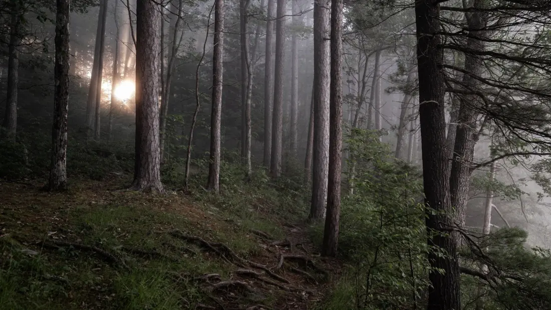 Pennsylvania's Ghost Town Trail: Coal Ruins, Cemeteries and Things That Go Bump on the Bike Path