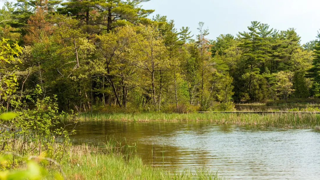 Hamlin Lake: Michigan's Big Artificial Lake That's Warm, Calm and Made for Families