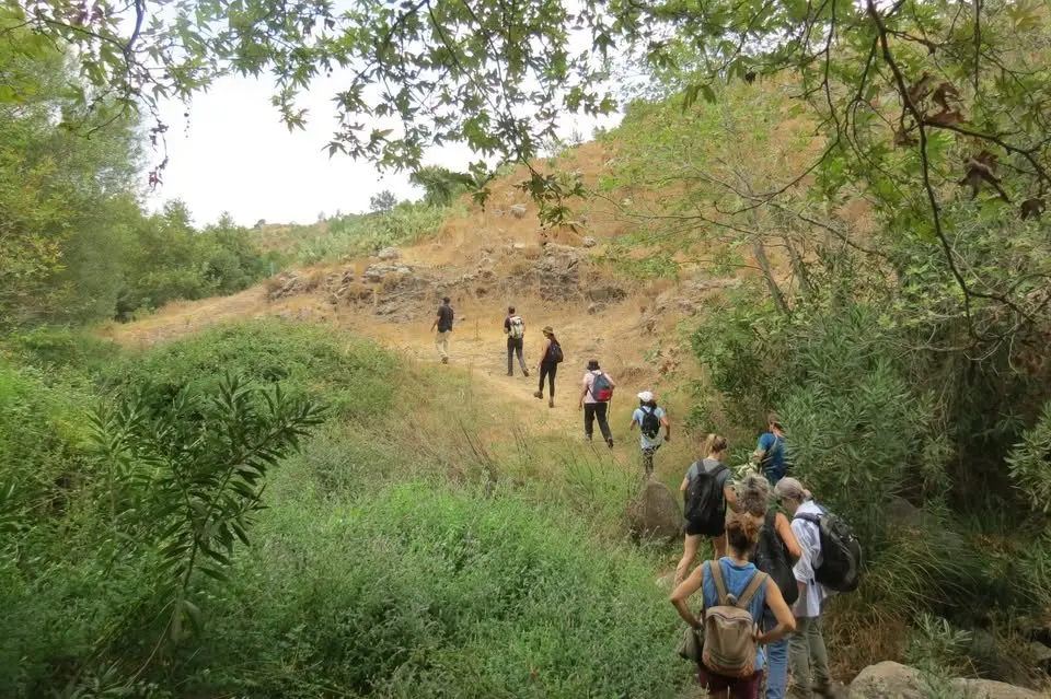 Four ways to hike Lebanon this October, from cedar forests to a four-day mountain crossing