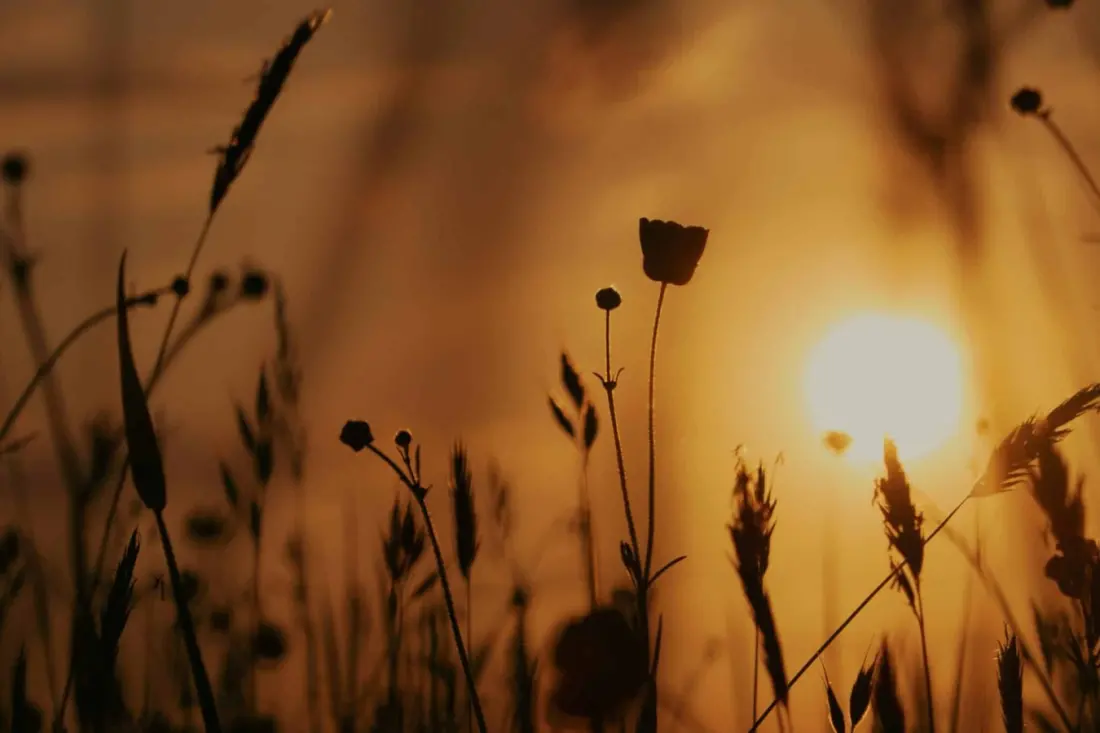 Portugal's October heatwave: 32°C days set to push autumn back a few weeks