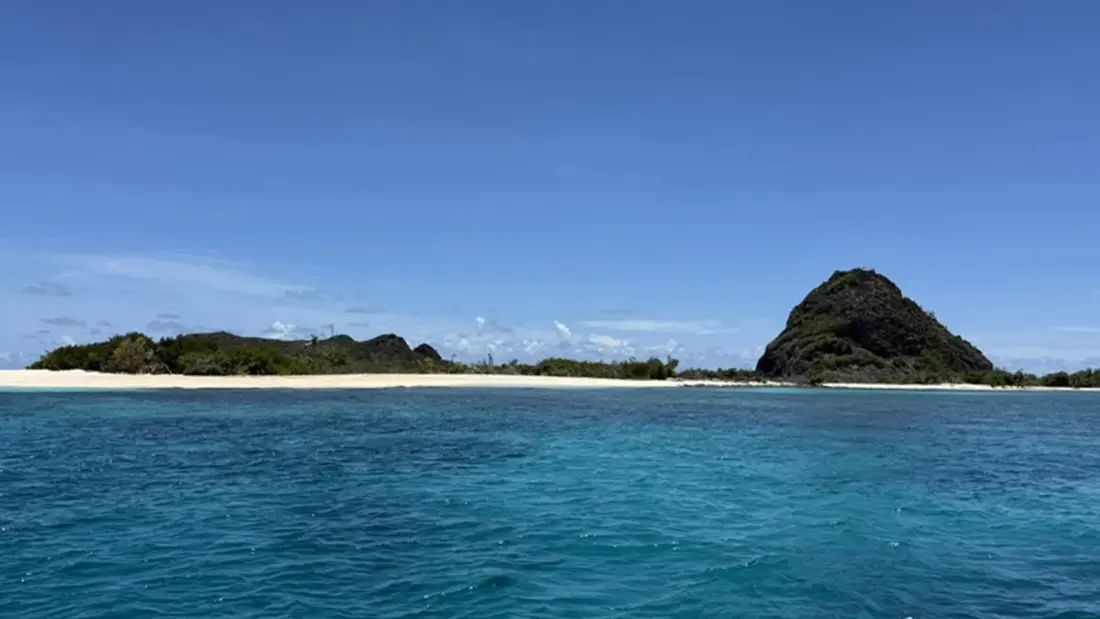 Grenada's Dive Festival Returns in October With Wrecks, Reefs and a Conservation Focus