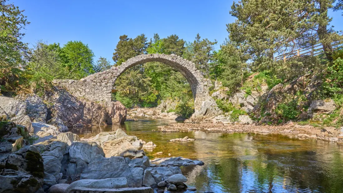 Carrbridge: A Highland Village With a 300-Year-Old Bridge, Wildcats and a Chainsaw Carving Contest