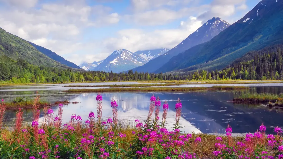 Kenai Peninsula: Alaska's Playground of Glaciers, Fjords and Record-Breaking Salmon