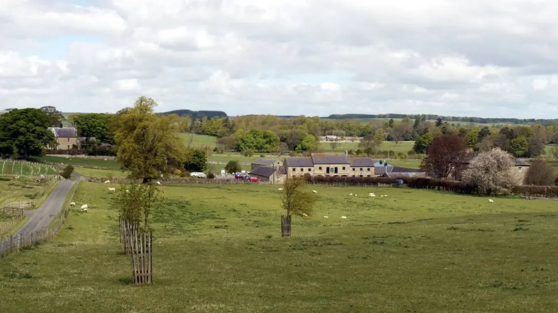 Kirkharle: The Northumberland Hamlet Where Capability Brown Was Born (And You Can Get a Milkshake)