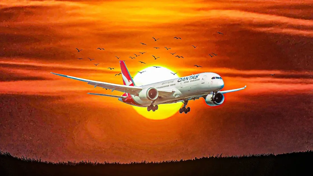 Bedbugs Ground a Qantas Dreamliner in Rome, Cancelling the Perth Flight