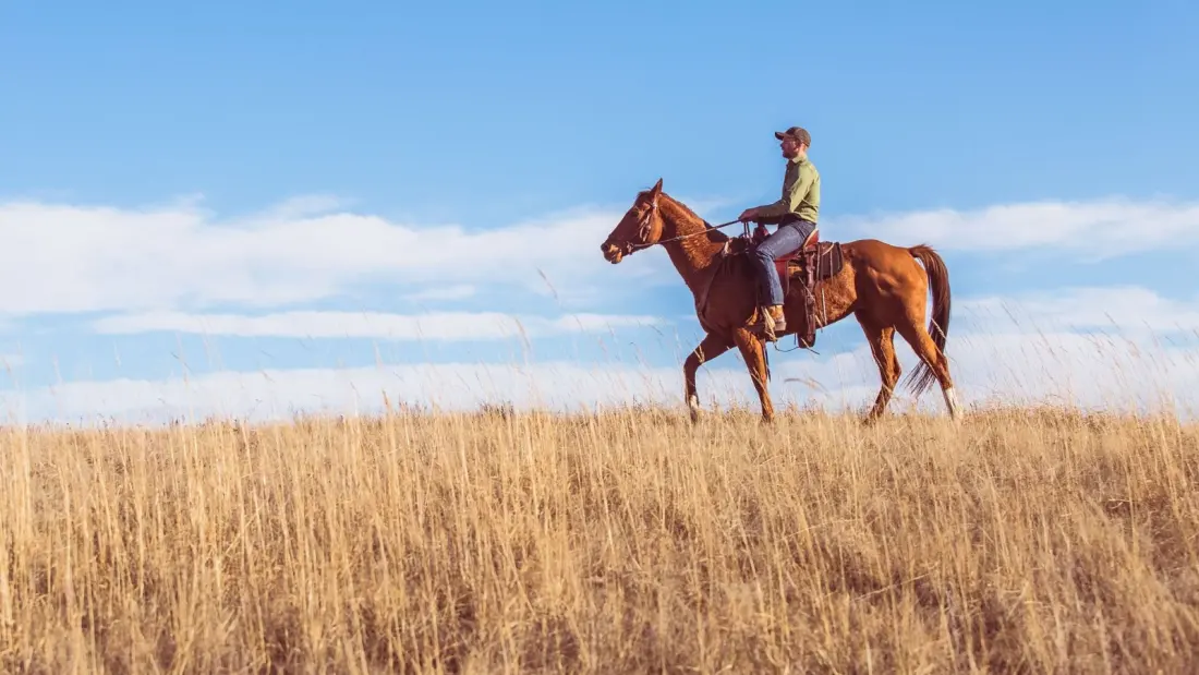 Montana's Mountain Sky Ranch: Where the Dead Zone Is the Luxury