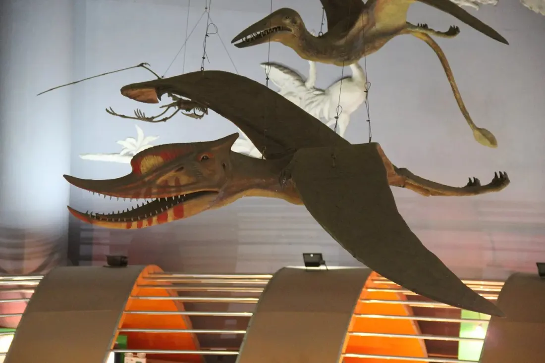 China Opens the World's First Museum Devoted Entirely to Pterosaurs