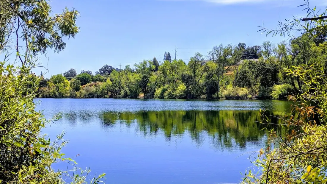 Shadow Cliffs: The Former Gravel Quarry Between San Francisco and Modesto That's Now a Swim, Fish and Birdwatch Park