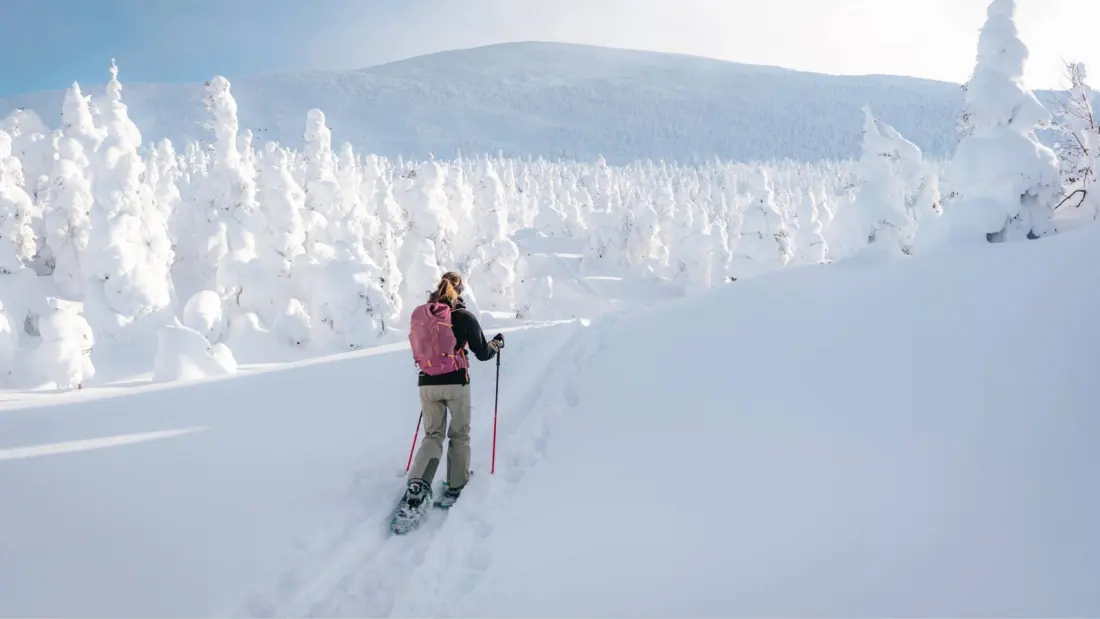 Québec in Winter: Hut-to-Hut Skiing and Backcountry Snowshoeing Across Canada's Snowiest Playground