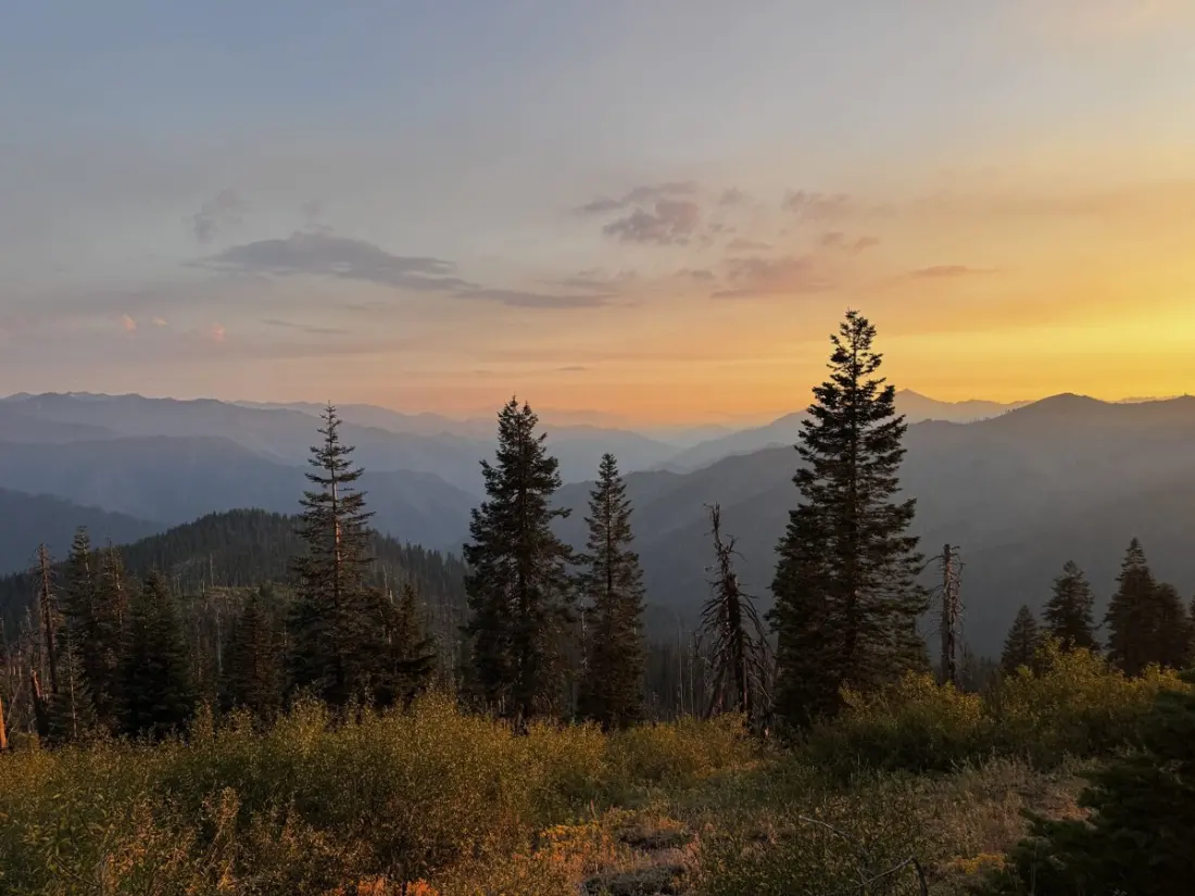 Wildfire Haze, Trail Magic and a Bear Cub: Week 13 on the Pacific Crest Trail